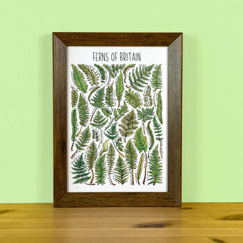 Ferns Of Britain Watercolour Postcard, 9 of 9